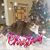 Vicki Selders Bicandi's profile image