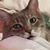 Cindy Merchoff's profile image