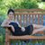 Veronica Trevino Benavides's profile image