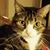 Nicole Weaver's profile image