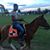Mo Town KB's profile image