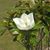 Sara Butler Criswell's profile image