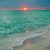 Dina Chaney-Goodin's profile image