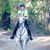 Diana Rosemary McGirr's profile image