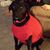 Alyssa Millilo Irwin's profile image