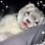 Sam Dee's profile image