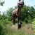 David Meredith's profile image