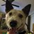 Leann Little Turner's profile image
