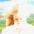Alisa M Briggs's profile image