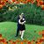 Marta Ruiz's profile image