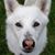 Susan Schetter's profile image