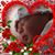 Bruce Berry's profile image