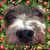 Pamela Nowak's profile image