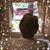 Sherri Ramsay Eidson's profile image