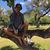 Sime Shen's profile image