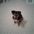 Cindy Teel's profile image