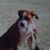 Bill Layberger's profile image
