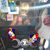 Sandi Perkins's profile image