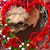 Cora Maley's profile image