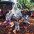 Tamah L. Foltz Wicke's profile image