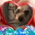 Michaela Heilhecker's profile image