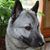 Marcia Boho's profile image