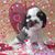 Kat Patterson-Firat's profile image
