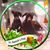 MaryAnn Anglisano's profile image