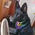Maria Martinez Boyd's profile image