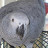 bbee's profile image