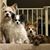Marion Endress's profile image