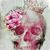 Eduardo M Gonzalez's profile image