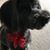 Nancy Robinson's profile image
