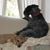 June E. Hulit's profile image