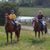 Sherri Temple Ford's profile image
