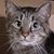 Marlene Williams's profile image