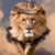 Joe Koja's profile image