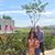 Katherine Hample's profile image