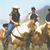 Lori Steckler's profile image