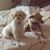 Lauree Hill's profile image