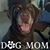 Sonya Epperson Brinton's profile image