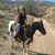 Denise Lee's profile image