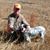 Carl Gentry's profile image