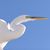 Linda Laverty's profile image
