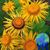 Margaret Arnost's profile image
