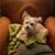 Leanne Tanner-DeSantis's profile image
