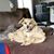 Joanne Sheppard's profile image