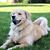 Helen Kessell's profile image