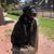 Diane Musgrave's profile image