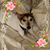 Lynn Feliziani's profile image